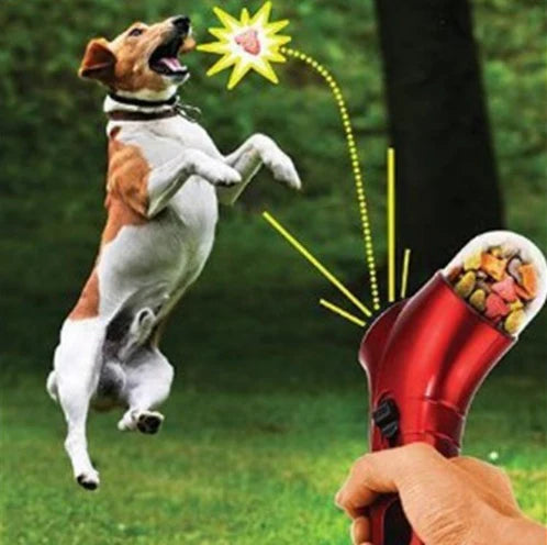 Pets Gadgets